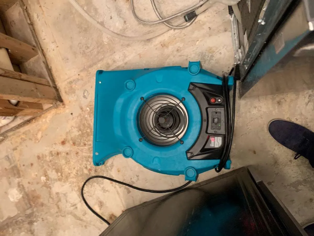 Air mover drying equipment for Mold Remediation & Removal in Indio